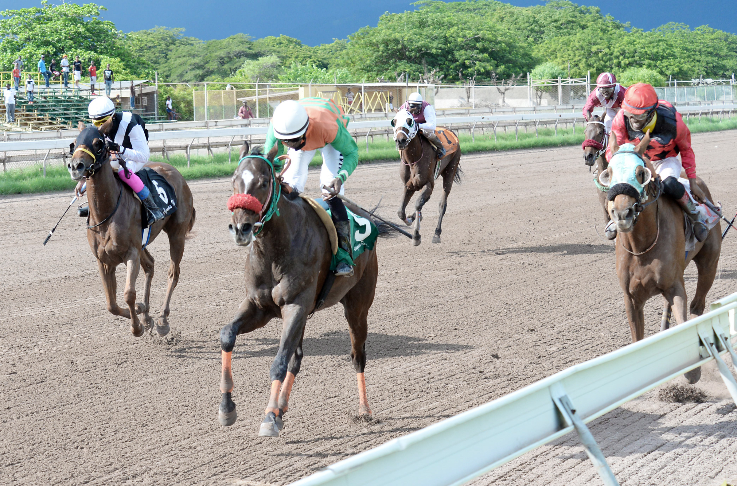 Action from the Park | Sports | Jamaica Star